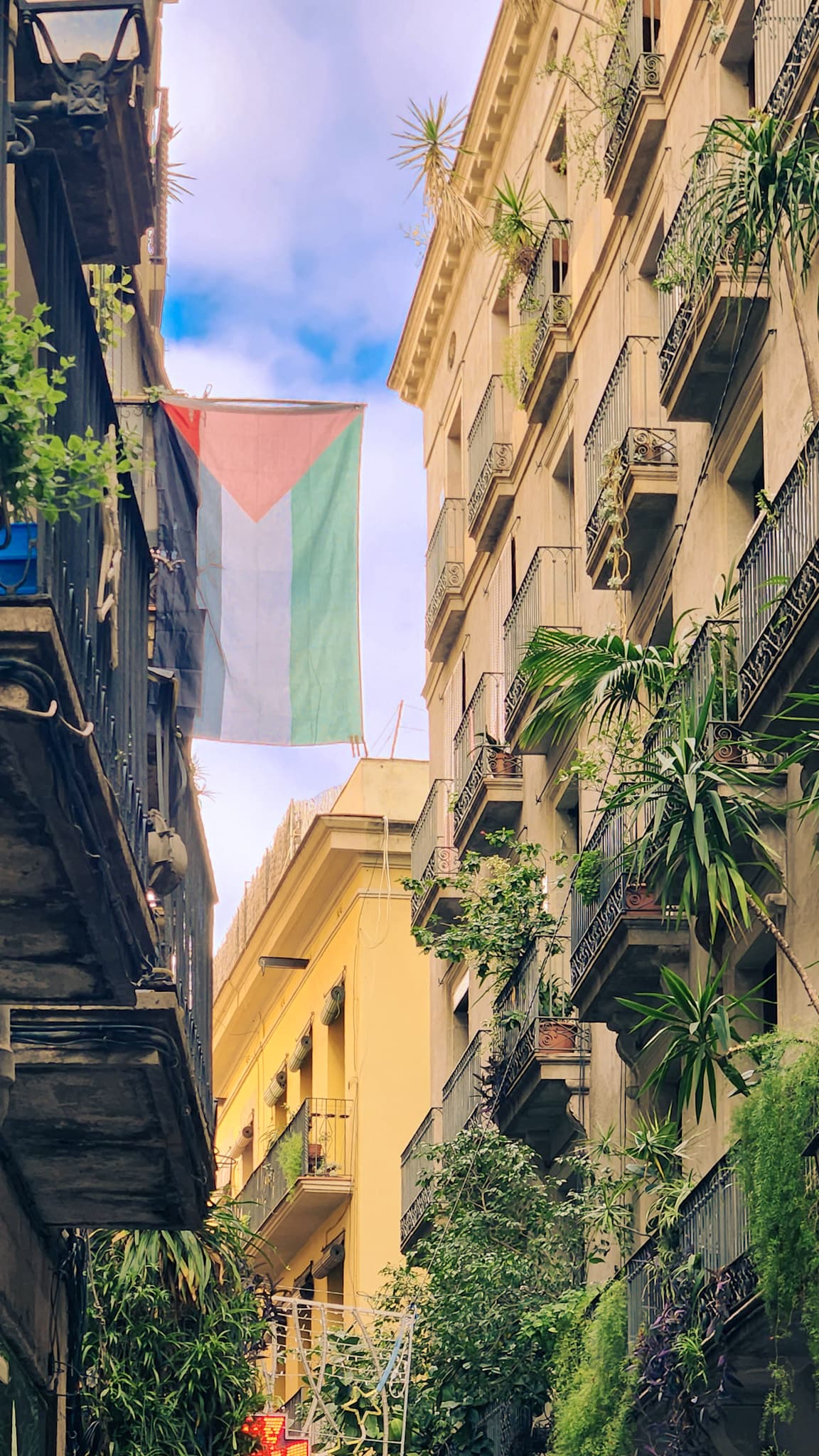 Palestinian Flag by Barcelona, Spain